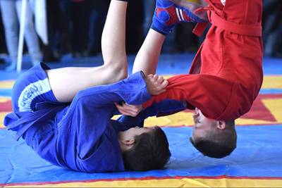 В школах Приморья впервые реализуют программу обучения спортивной борьбе