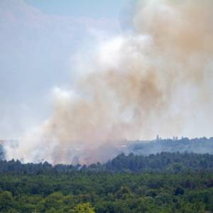 На Хортице горит сосновый лес: ликвидацию пожара усложняет сильный ветер. Фото