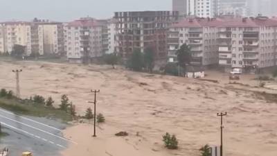 Разливы рек после ливней в Абхазии спровоцировали наводнения