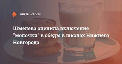 Шмелева оценила включение "молочки" в обеды в школах Нижнего Новгорода