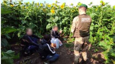 Полиция задержала прятавшегося в поле подсолнечников российского вора в законе