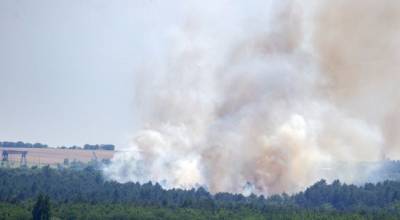 На украинском заповедном острове Хортица произошел пожар