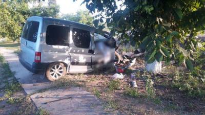 Смертельное ДТП в Джанкойском районе: иномарка влетела в дерево