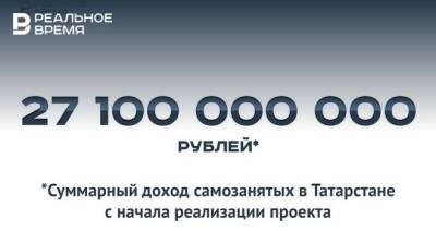 Суммарный доход самозанятых в Татарстане составил 27,1 млрд рублей — много это или мало?