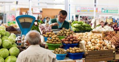 Так ли важны овощехранилища: 5 вопросов про подорожание моркови в Калининграде
