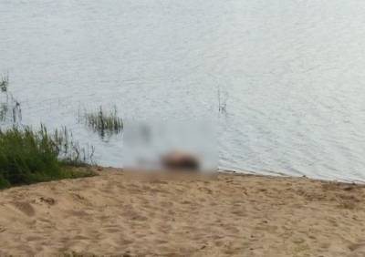 Из озера в Кадоме подняли тело мужчины