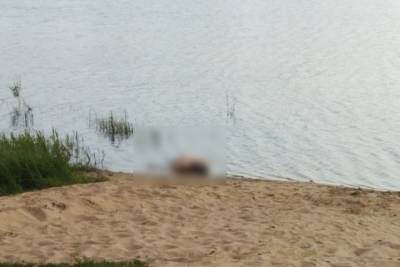 В Кадоме на озере обнаружили труп мужчины