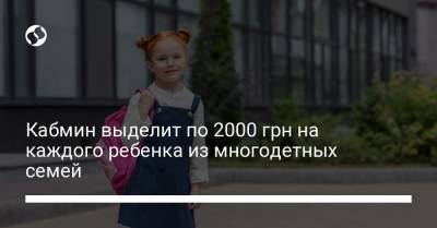 Кабмин выделит по 2000 грн на каждого ребенка из многодетных семей