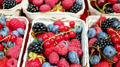 Диетолог перечислил самые полезные сезонные фрукты и ягоды