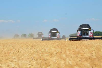В Ростовской области собрали уже более 8,3 млн тонн зерновых и зернобобовых культур