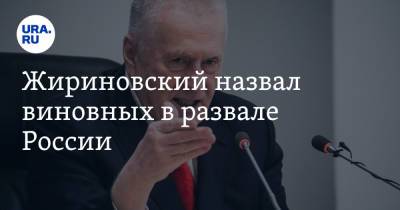 Жириновский назвал виновных в развале России