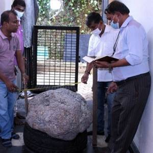На Шри-Ланке случайно нашли огромный сапфир во время выкапывания колодца. Фотофакт