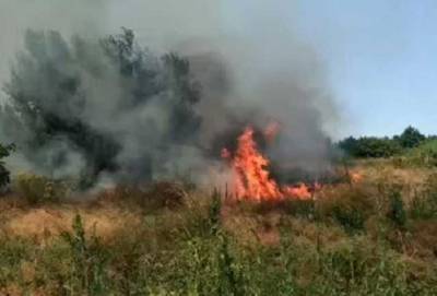 Тушение осложнил сильный ветер: видео масштабного пожара на Хортице