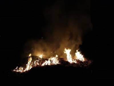 В окрестностях Афин тушат пожары