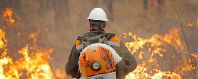В нескольких районах Приморья ввели особый противопожарный режим
