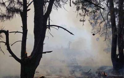Пожар на острове Хортица: полиция начала проверку
