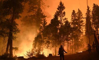 Yle (Финляндия): российская Карелия в огне — редакция Yle пообщалась с волонтерами, участвующими в тушении лесных пожаров