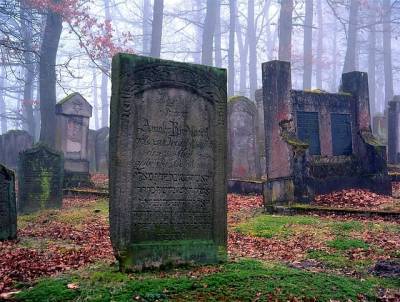 В Великобритании барсуки разрушили одно из местных кладбищ и мира