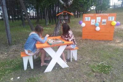 В Байкальском селе Гремячинск в Бурятии открыли уличную библиотеку в виде скворечника