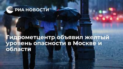 Гидрометцентр объявил желтый уровень опасности в Москве и области из-за грозы