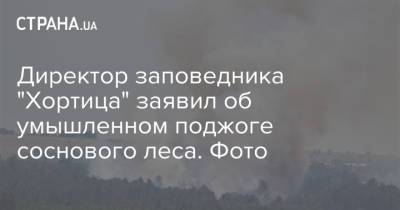 Директор заповедника "Хортица" заявил об умышленном поджоге соснового леса. Фото