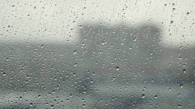 Главные новости за ночь: проливные дожди в Грузии, интеллектуальный маршрут для путешественников и первенец Пэрис Хилтон