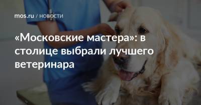 «Московские мастера»: в столице выбрали лучшего ветеринара