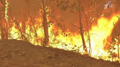 В Карелии лесные пожары удалось остановить на подступах к нескольким поселкам