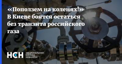 «Поползем на коленях!» В Киеве боятся остаться без транзита российского газа