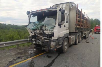 В Челябинской области один человек погиб в ДТП с лесовозом на трассе М-5