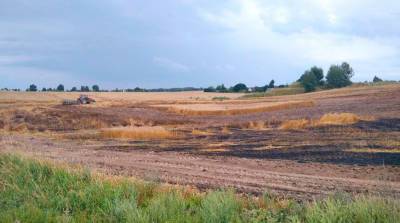 В Дзержинском районе от огня спасли поле озимой пшеницы