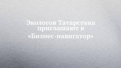 Экологов Татарстана приглашают в «Бизнес-навигатор»