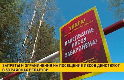 Запреты и ограничения на посещение лесов введены в 50 районах Беларуси