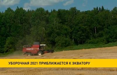 Уборочная-2021 приближается к экватору