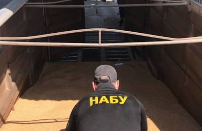 НАБУ предотвратило хищение зерна из Госрезерва на 12 млн грн