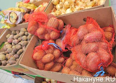 "Больная тема": в Свердловском УФАС объяснили рост цен на овощи