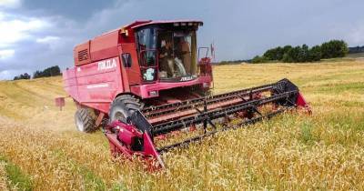 В Беларуси намолочено более 2,2 миллиона тонн зерна