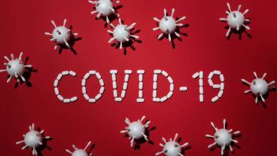За минувшие сутки в Ленобласти зарегистрировали 242 новых случая COVID-19