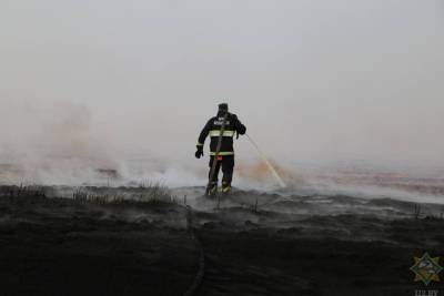Крупные пожары на Гомельщине продолжаются — общая площадь возгораний составляет 110 гектаров