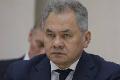 Шойгу: российская база в Таджикистане будет реагировать на угрозы стране