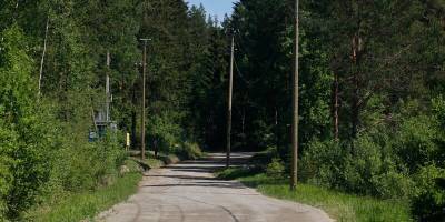 В лесу под Новосибирском надругались над 17-летней девушкой