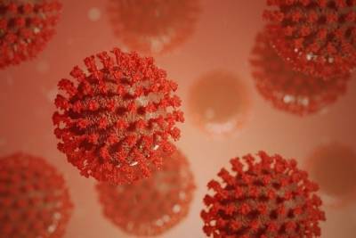 В России за сутки зафиксировали 22 420 случаев коронавируса