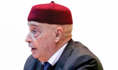 Перенос парламентских выборов приведёт Ливию к хаосу