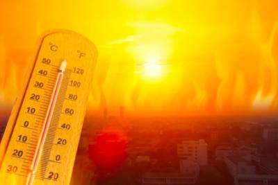 Мир должен готовиться к аномальной жаре: ученые назвали даты