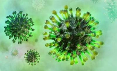 За последние сутки на Дону от коронавируса умерли еще 23 человека