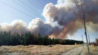 В России ухудшилась ситуация с природными пожарами