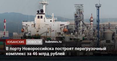 В порту Новороссийска построят перегрузочный комплекс за 46 млрд рублей