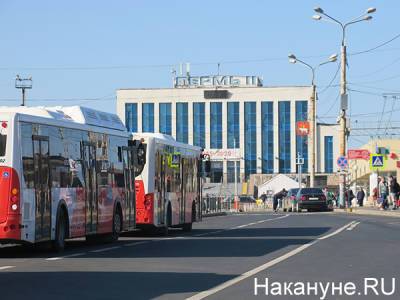 Глава прикамских "эсеров" призвала увеличить количество автобусов, курсирующих по Перми