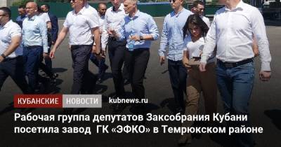 Рабочая группа депутатов Заксобрания Кубани посетила завод ГК «ЭФКО» в Темрюкском районе