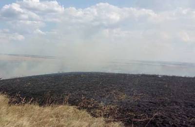 На Луганщине снова начались пожары сухой травы